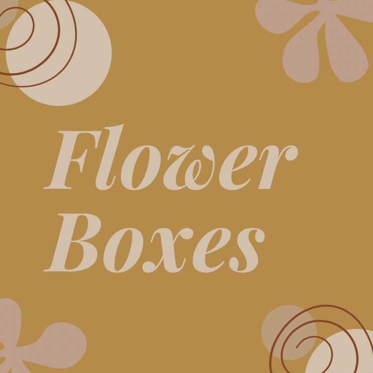Flower  Boxes